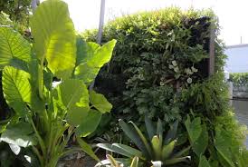 贝博中国 密山城市绿化三级资质有哪些