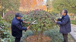 贝博艾佛森 太原城市绿化养护工程招聘